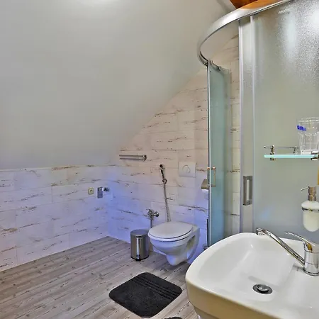 Apartments Pavel Abertamy Room photo